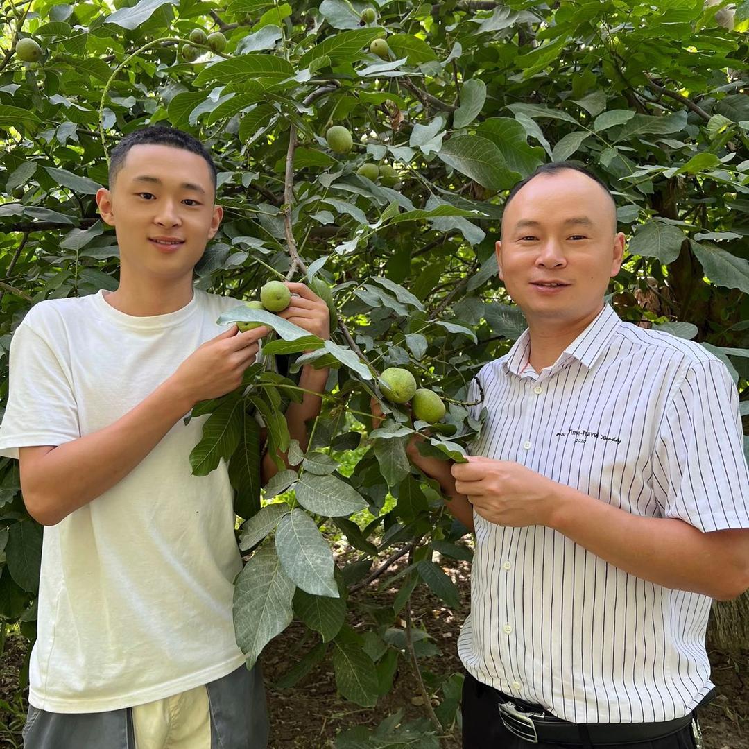 湘疆父子果业