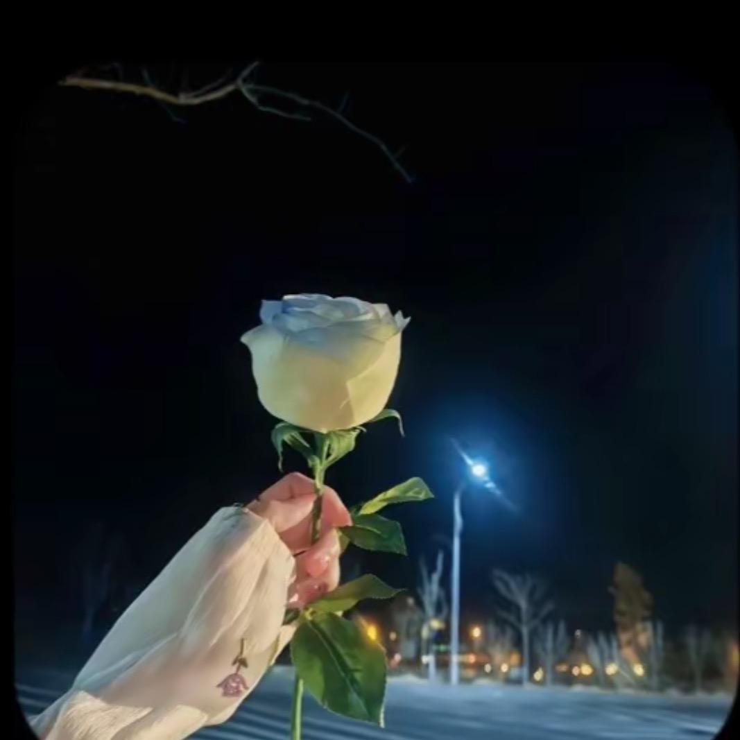 我的雪糕呢？🍧 ༂熊孩子༃¹³