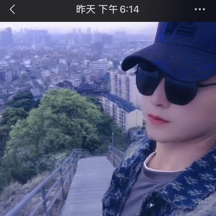 沙漠之狼