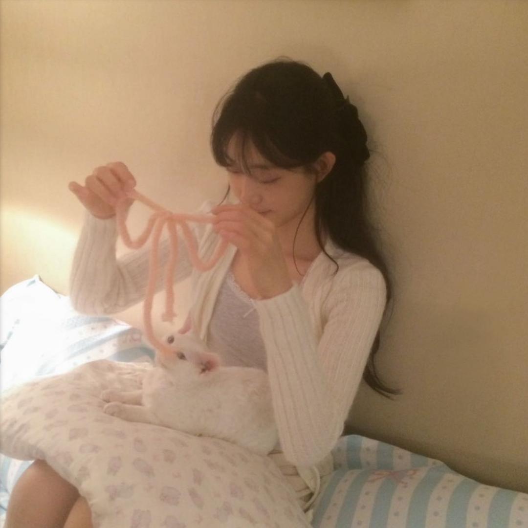 香芋牛奶味（❤️买捏捏版）