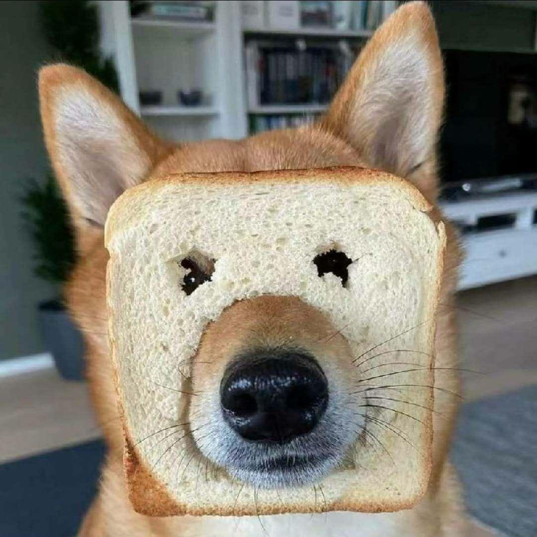 ￴ㅤ￴￴ ￴￴￴ㅤ