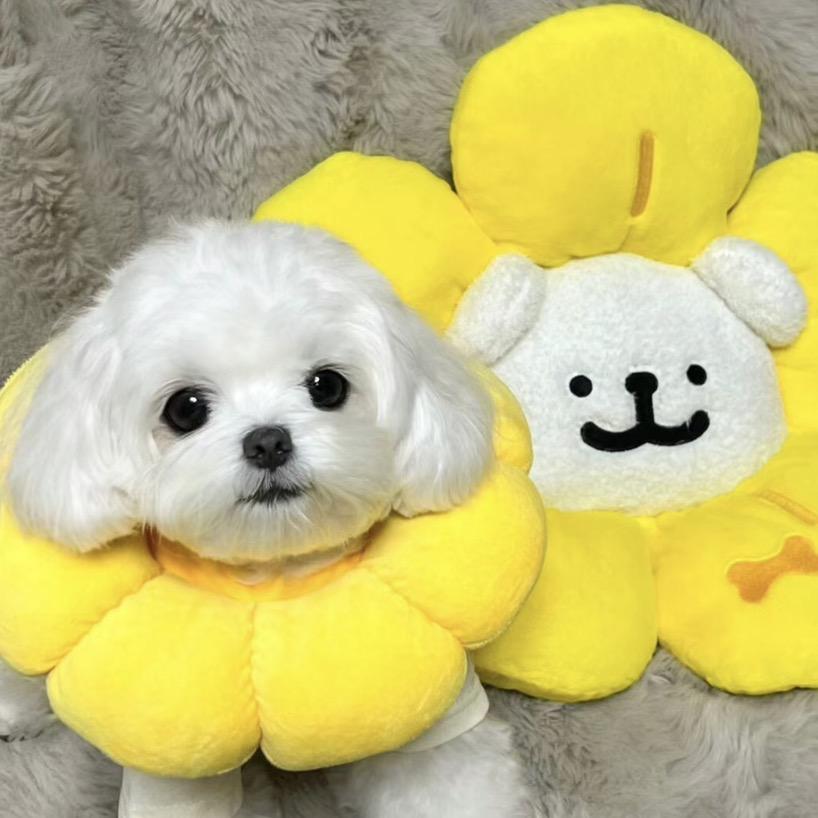 睡醒还是好困