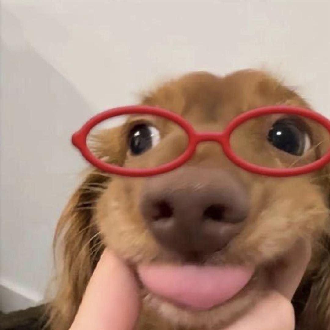 别和我说话