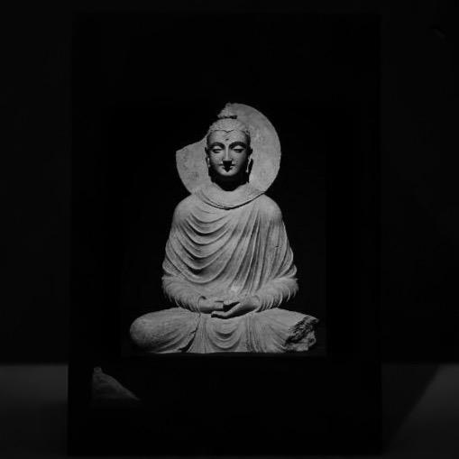 秋诺