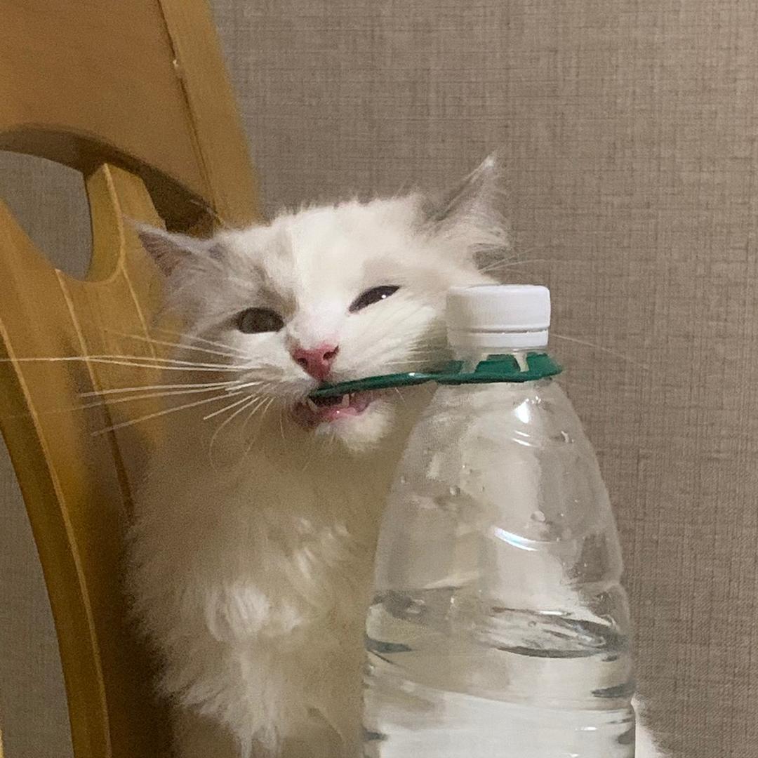 米熊23333