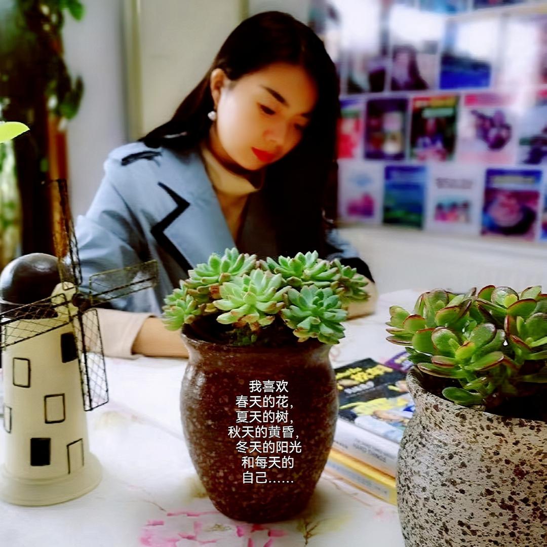 马小西