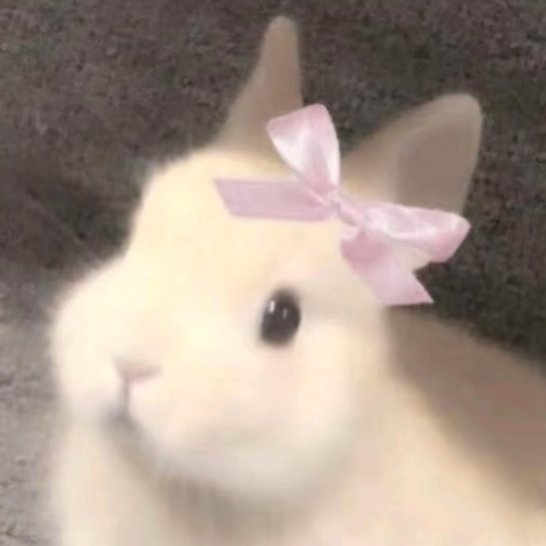 噜.噜.噜🐰