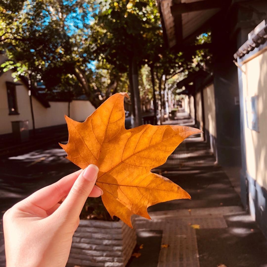 请 喊我小陆同学