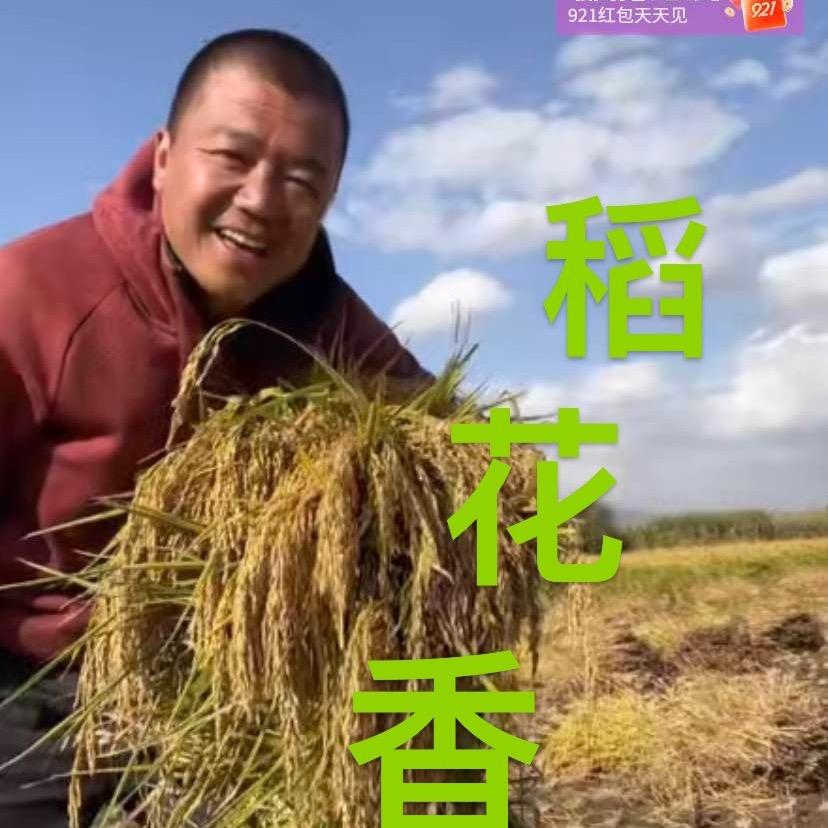 农婆婆五常大米稼稻