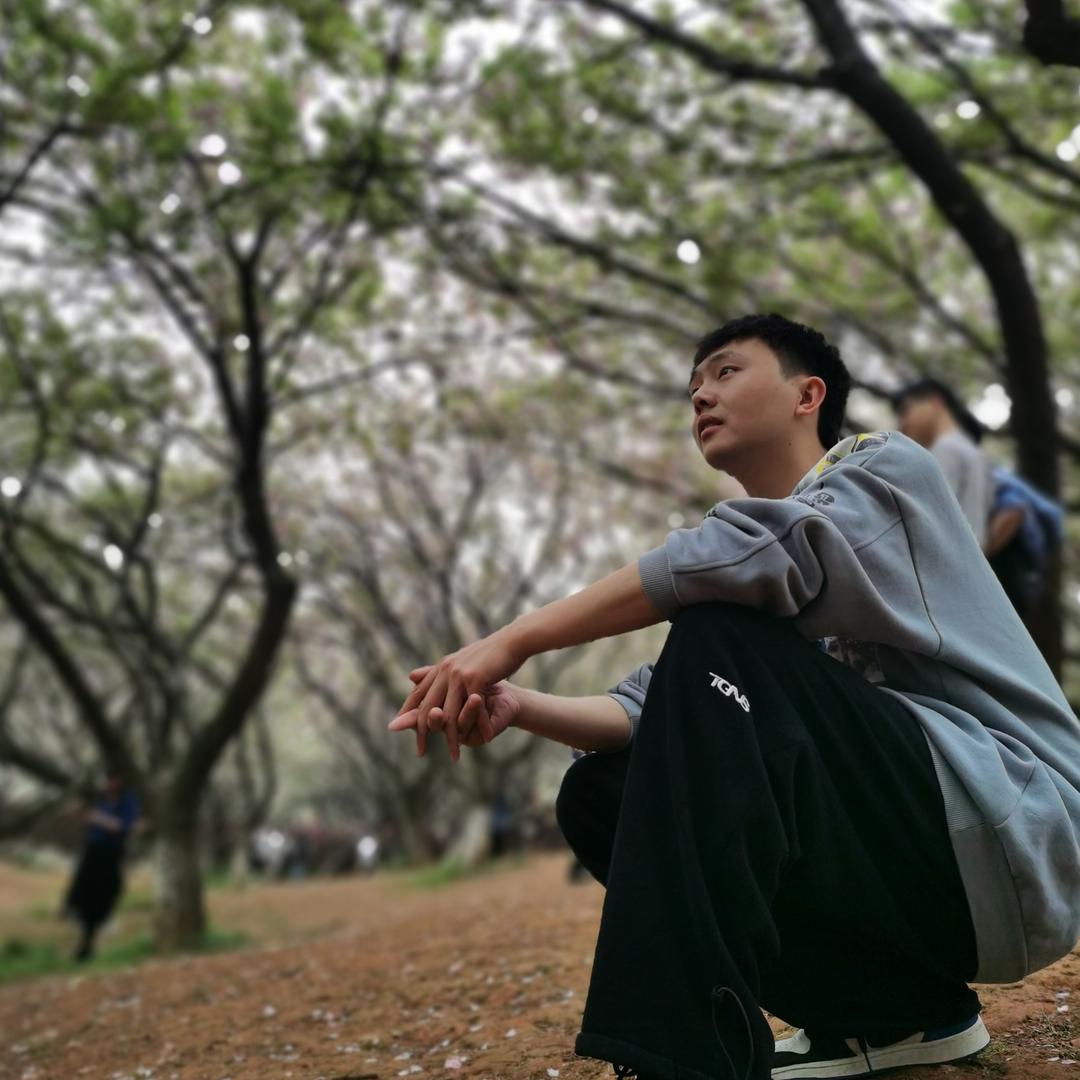 迪迪来啦