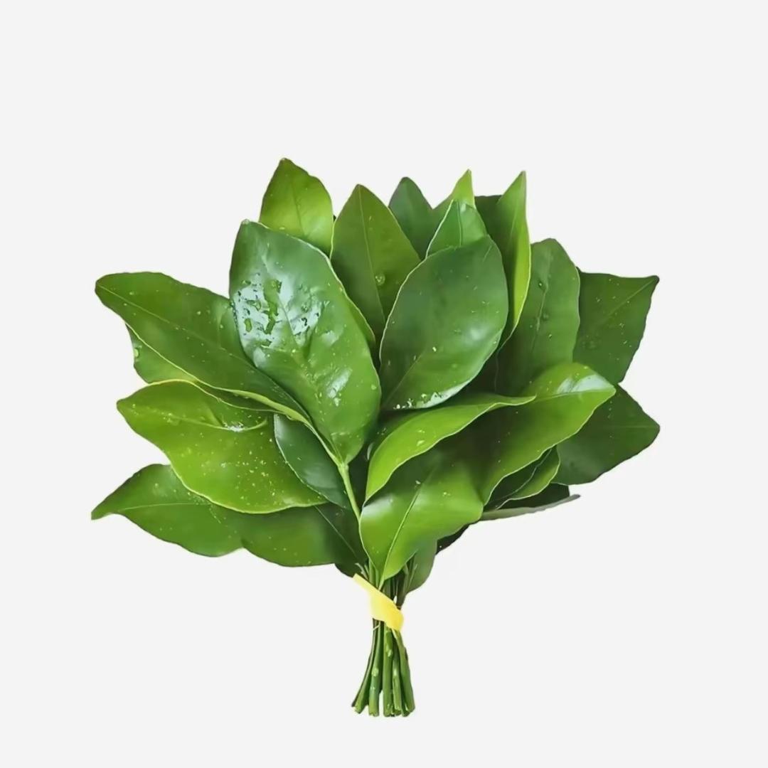 小结巴.