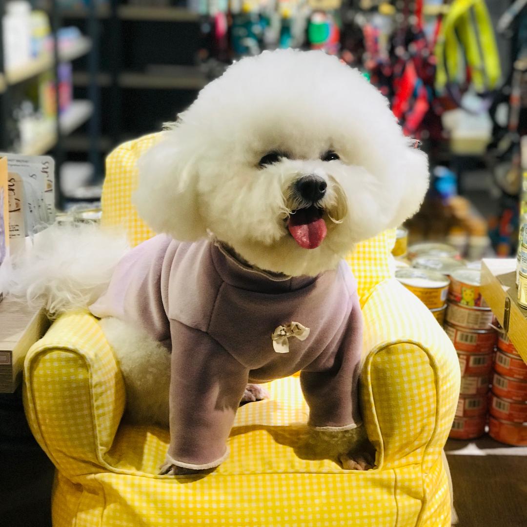 美美宝