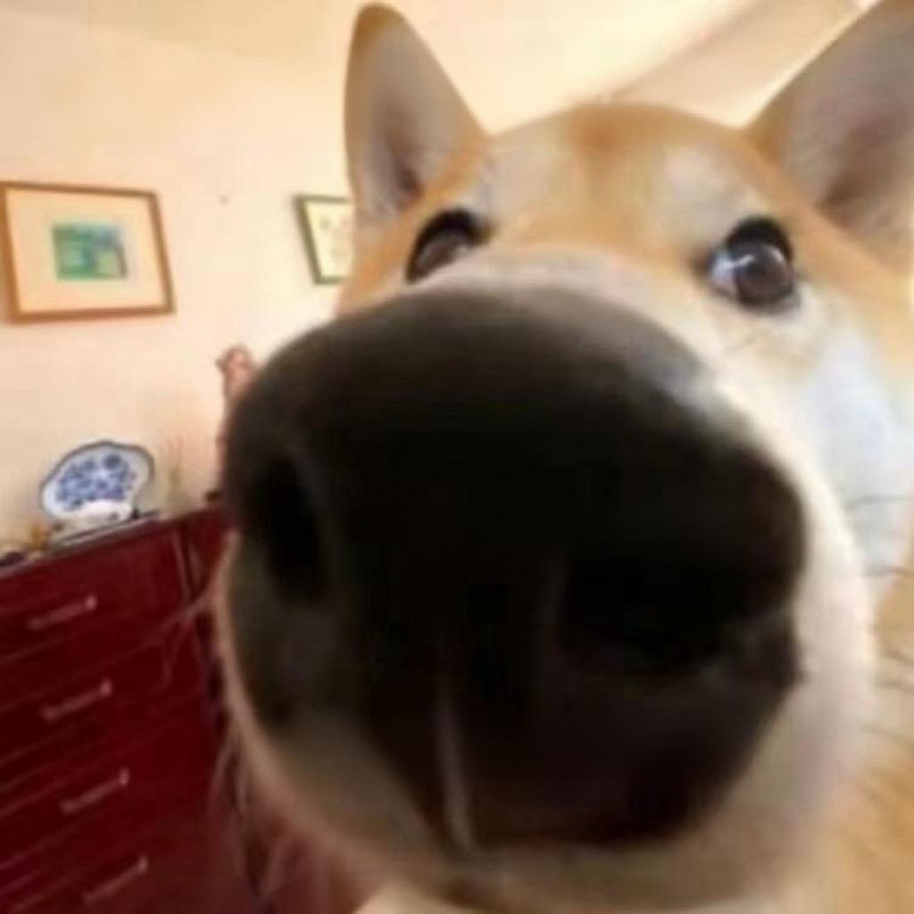 ￴￴ ￴￴ ￴ ￴ ￴ ￴ ￴