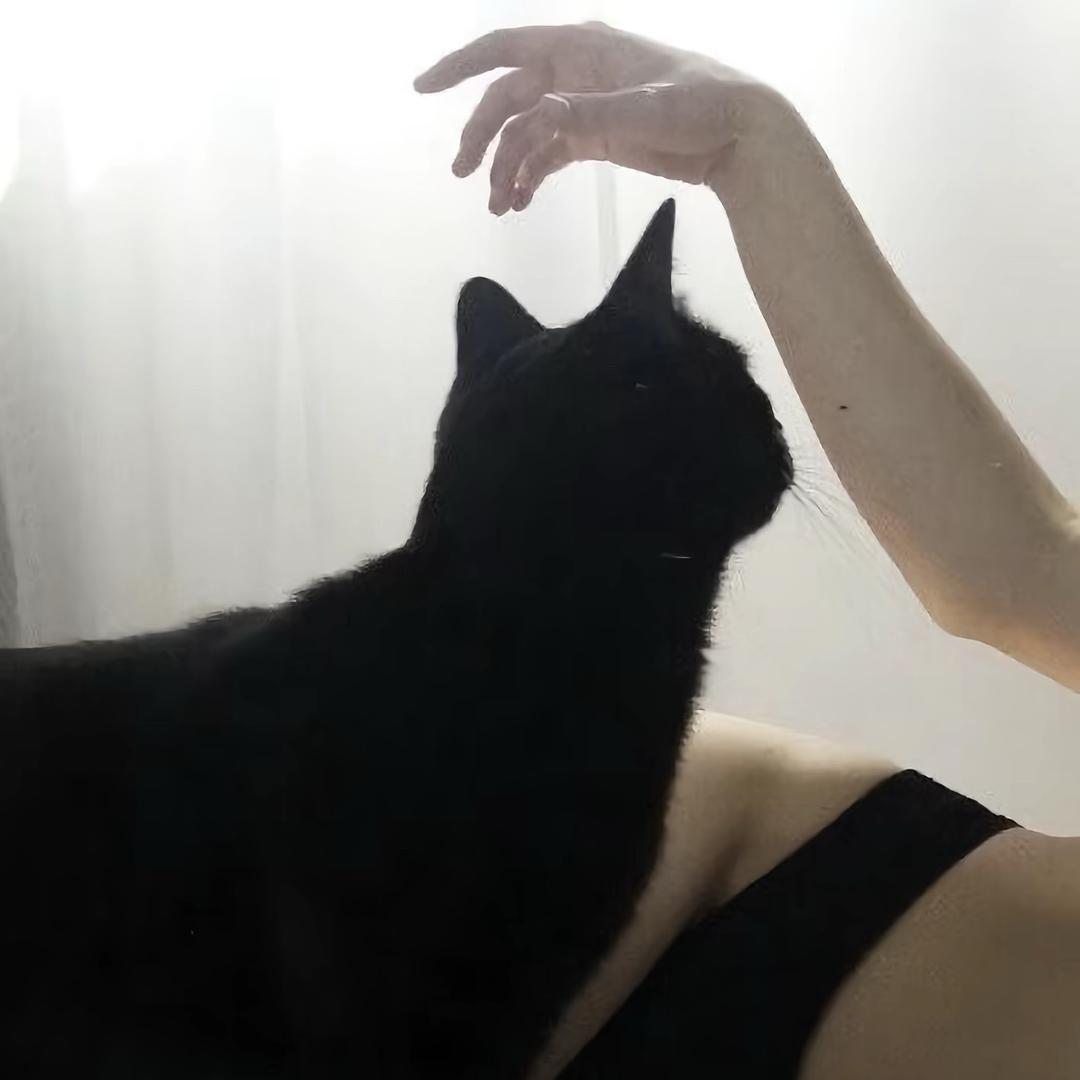 我乃萌物