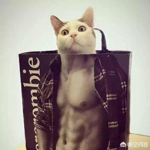 懿中人（三角洲行动）