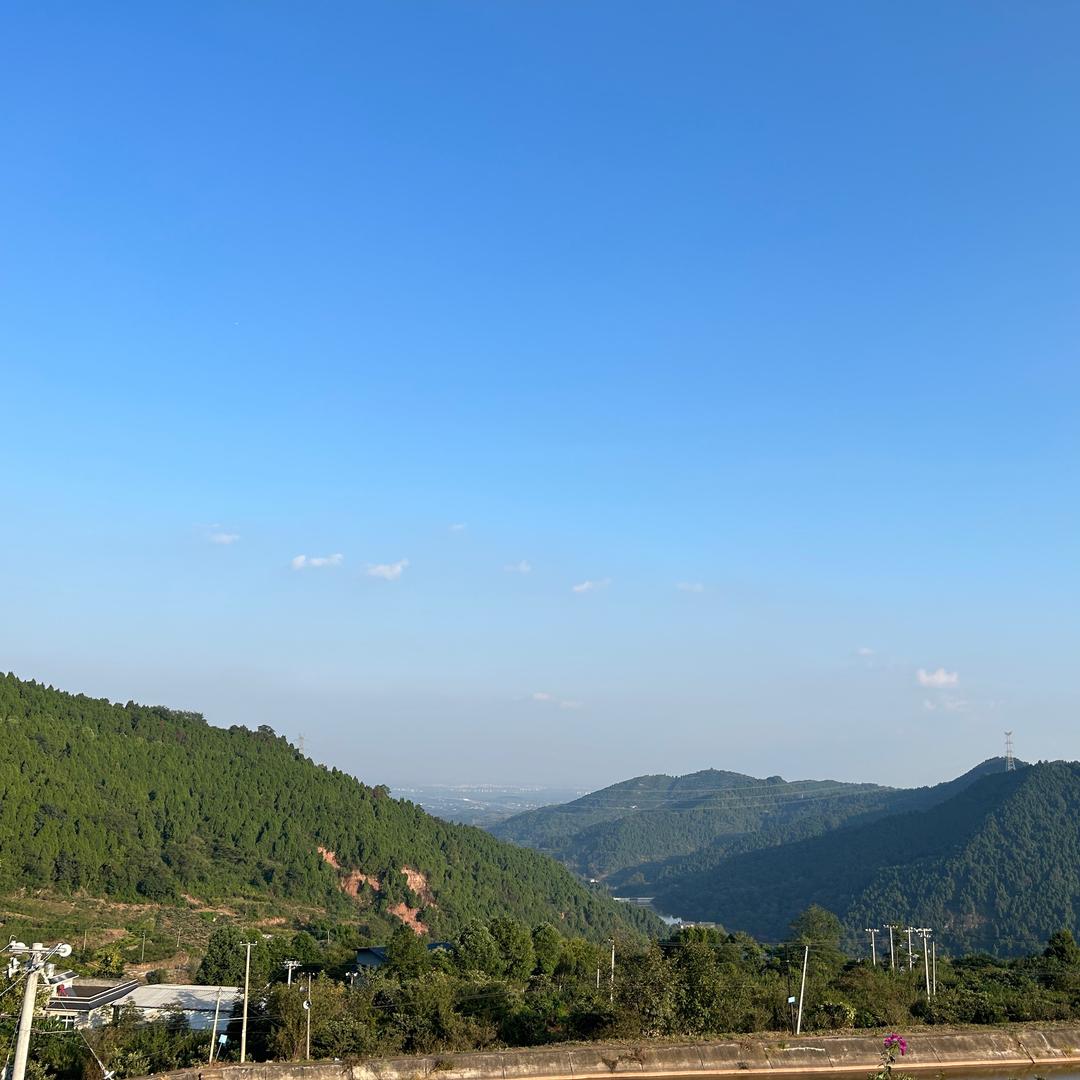 卢家小院