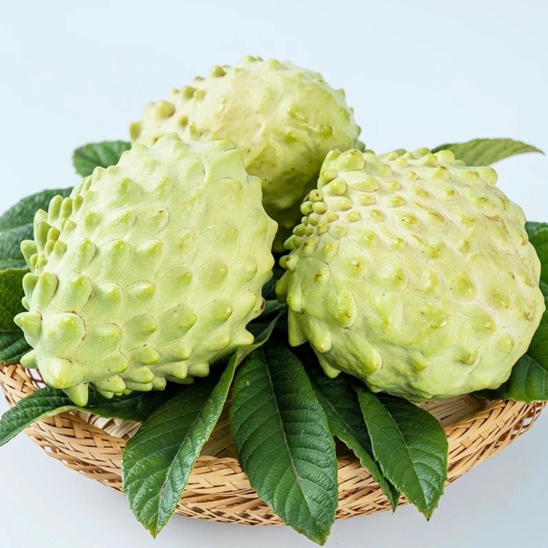 滇上释迦果