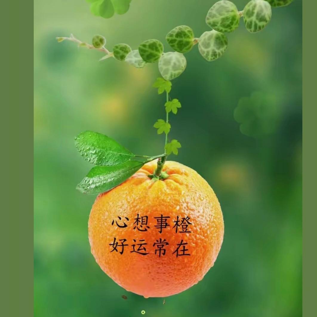 ☺️阳光正好🌞