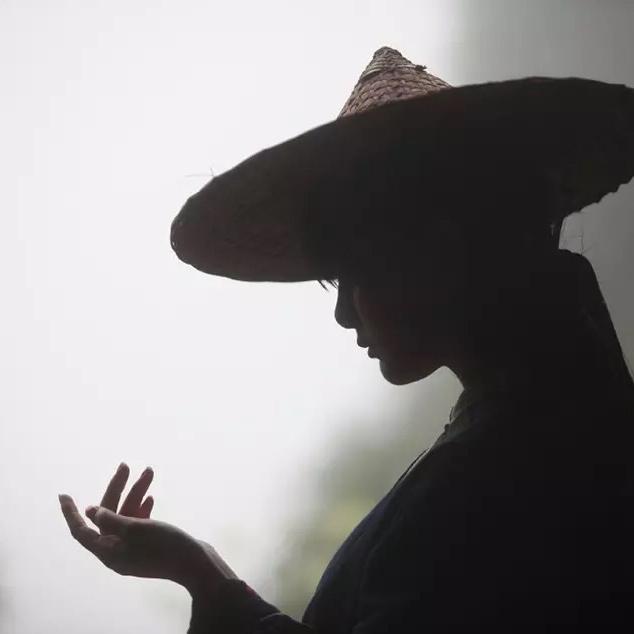 烨上星辰之落雨繁花