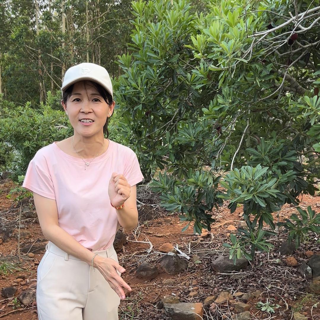 漳州开根王~肥姐