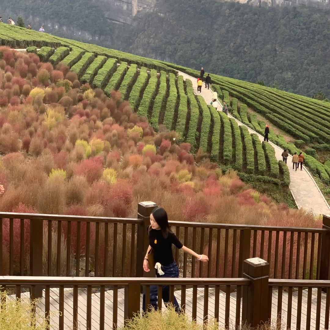 利川房产锦绣鹏程—杨薇