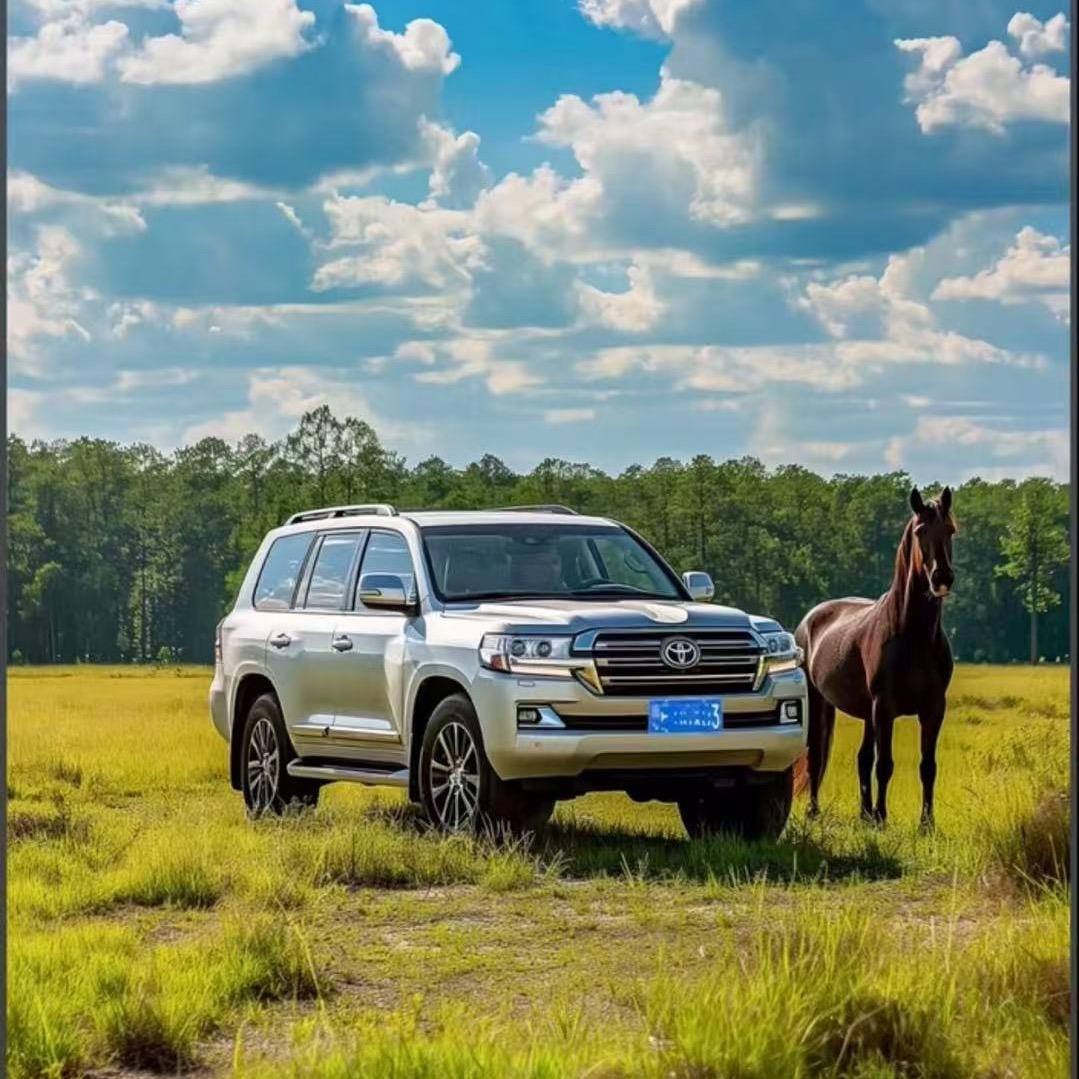 俊城名车酷路泽主营