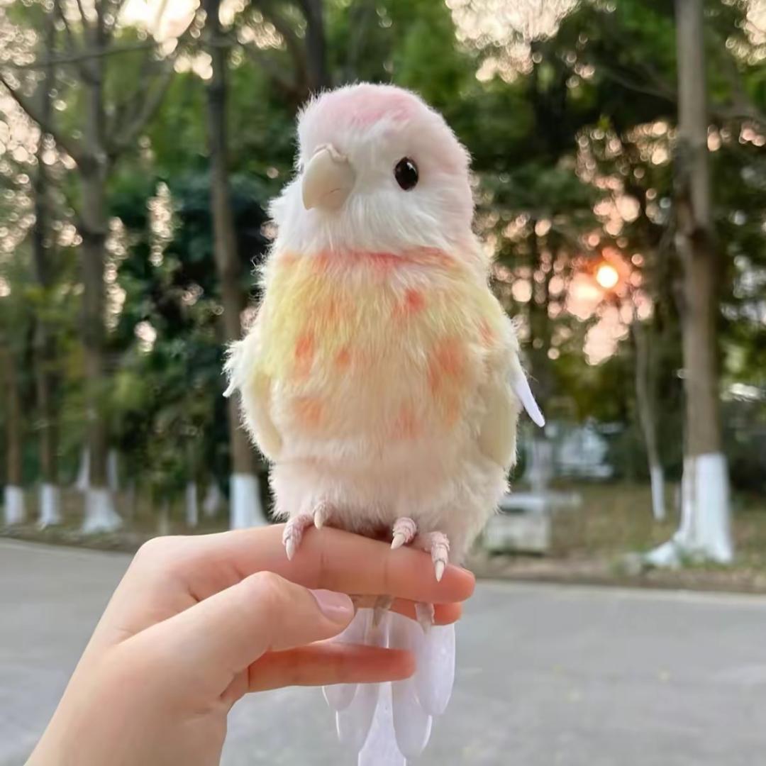 吸吸子