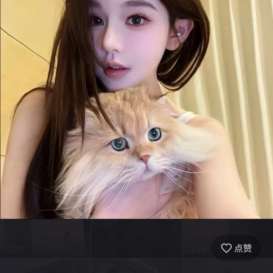@张🙂