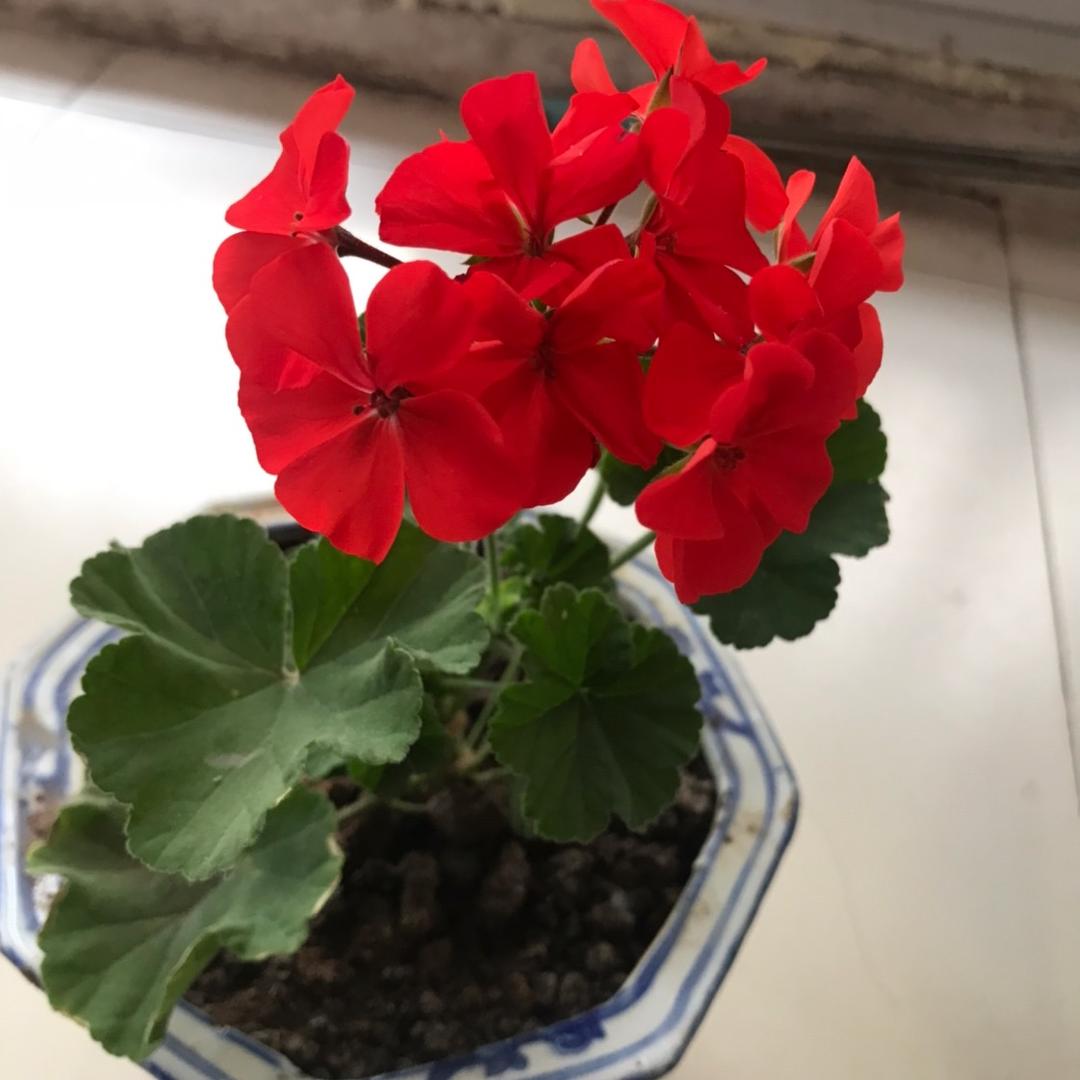 🈶️👧👌🆗……