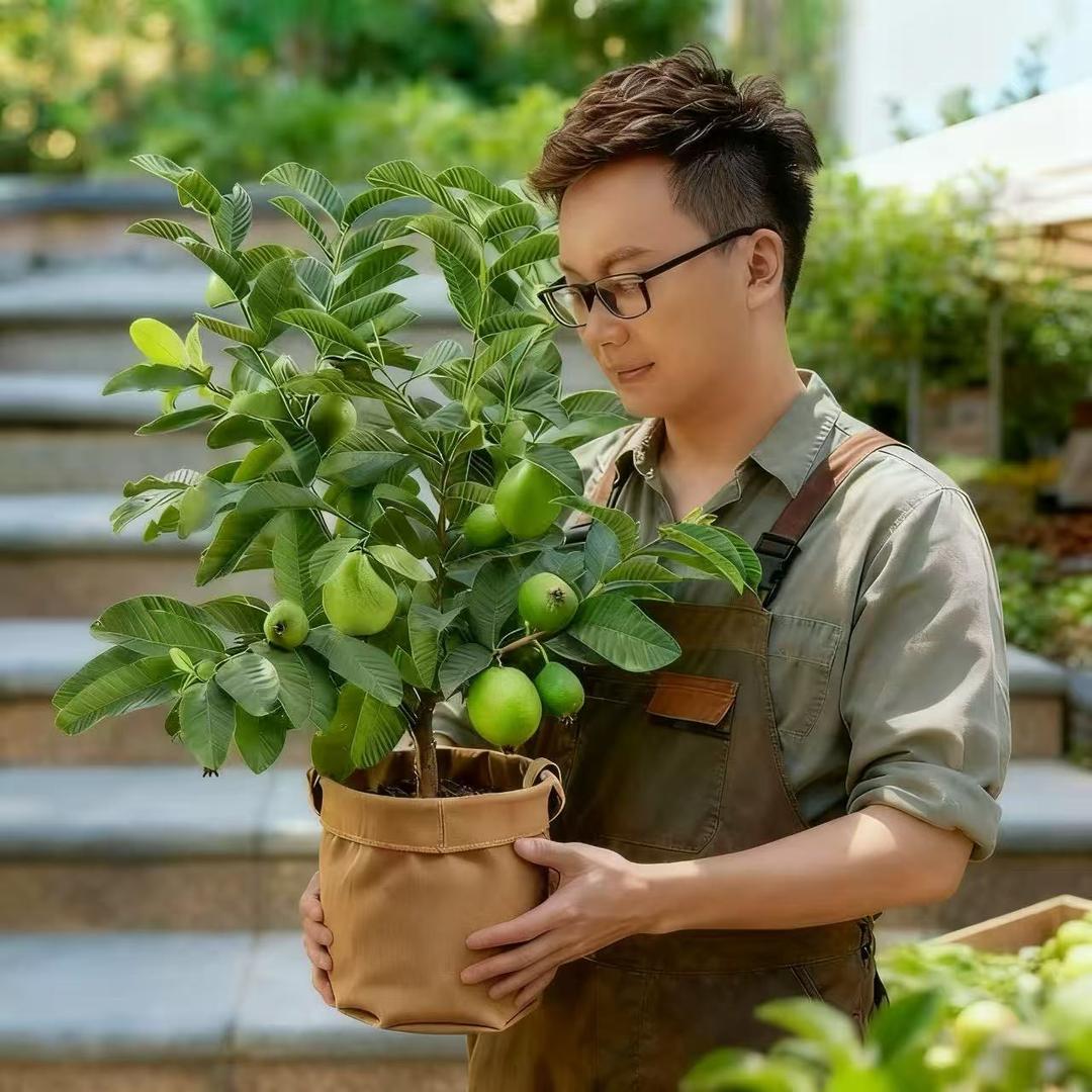 甄果馆(创易果树苗木基地)