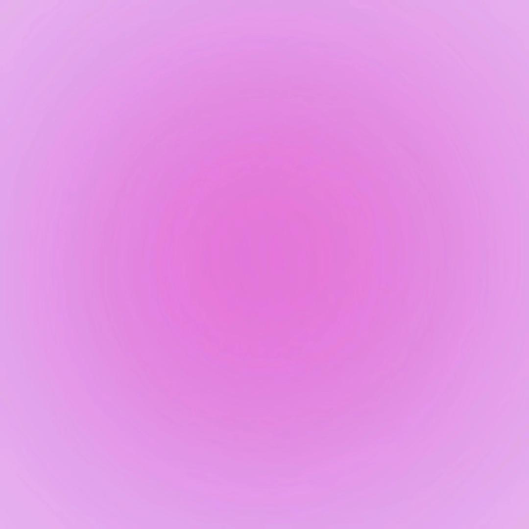 不是花栗鼠