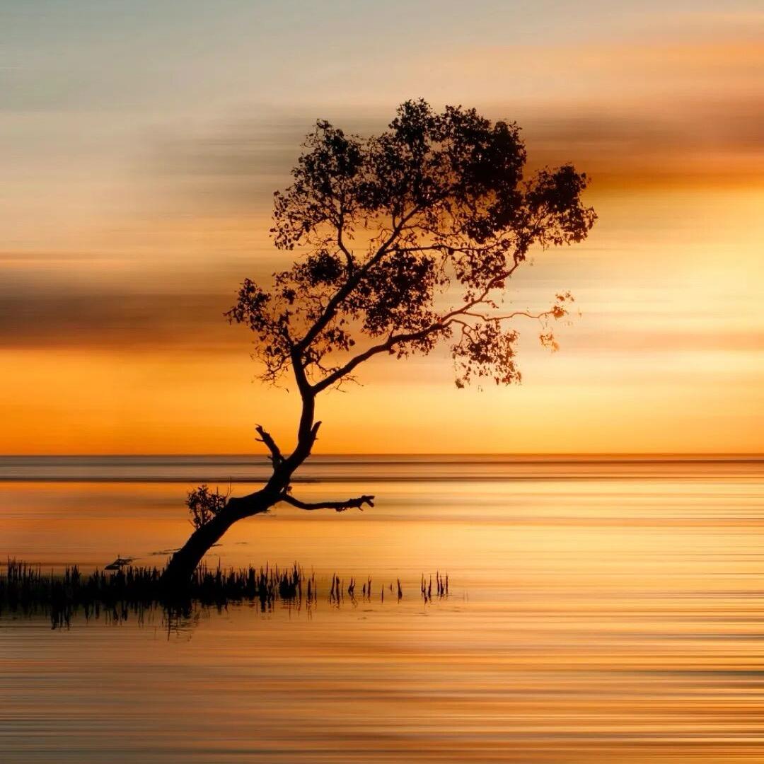 【停不住的记忆】