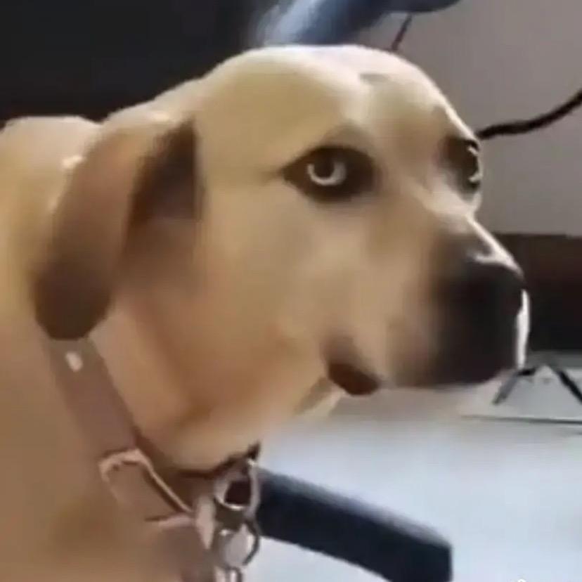 韩琛