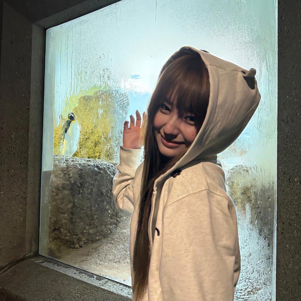 关泥啤柿