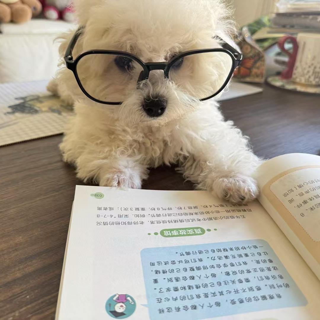 我想要两颗西柚elf