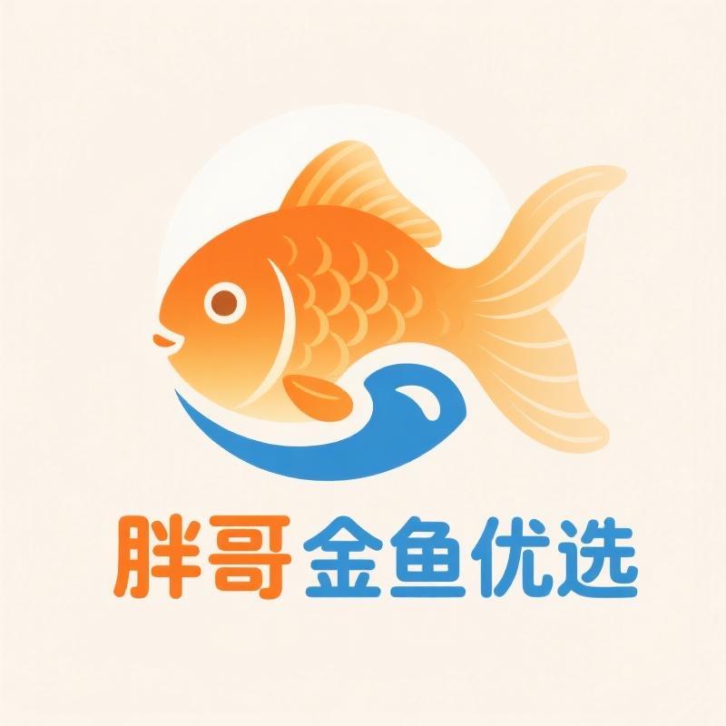 胖哥金鱼优选