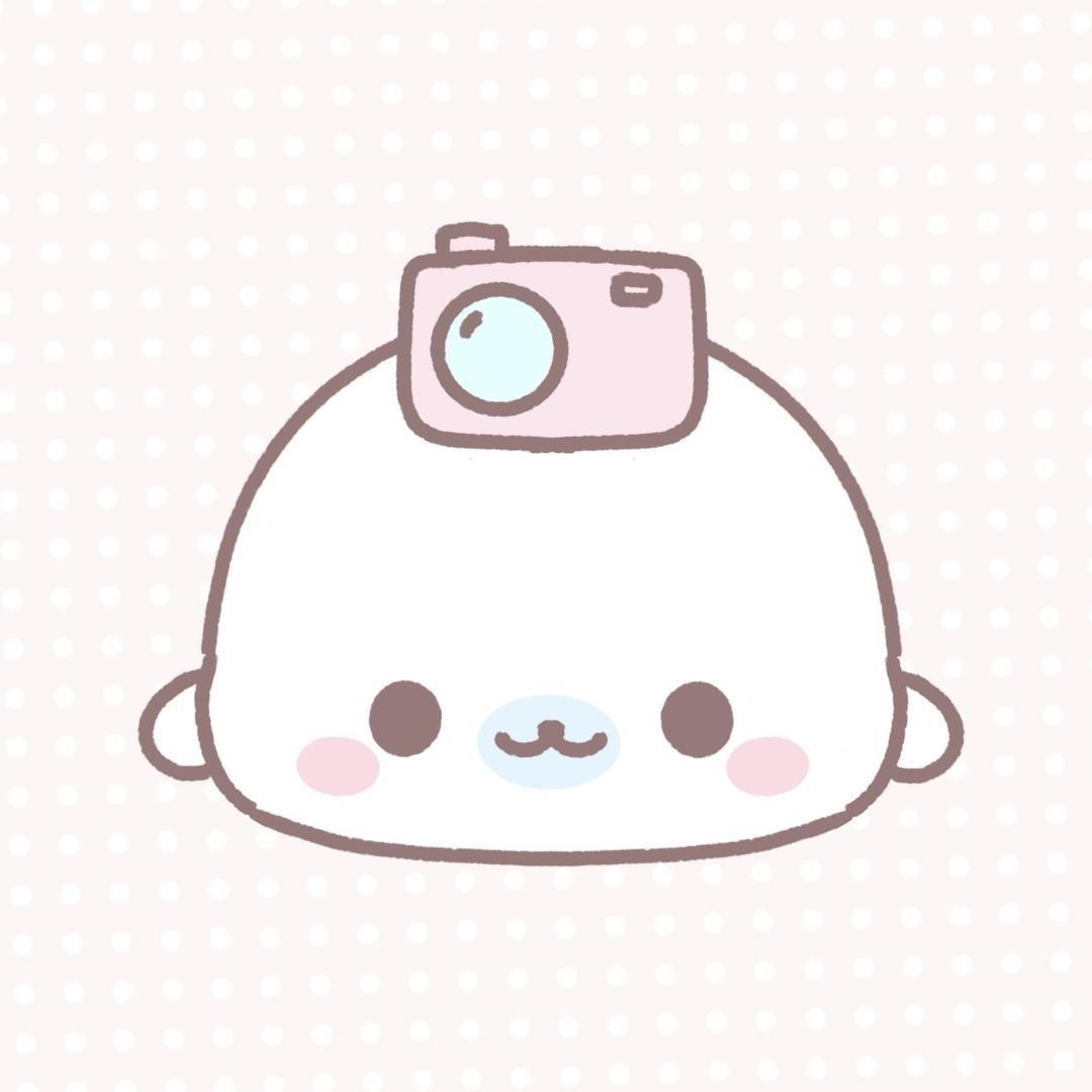 Tulip（ccd）相机