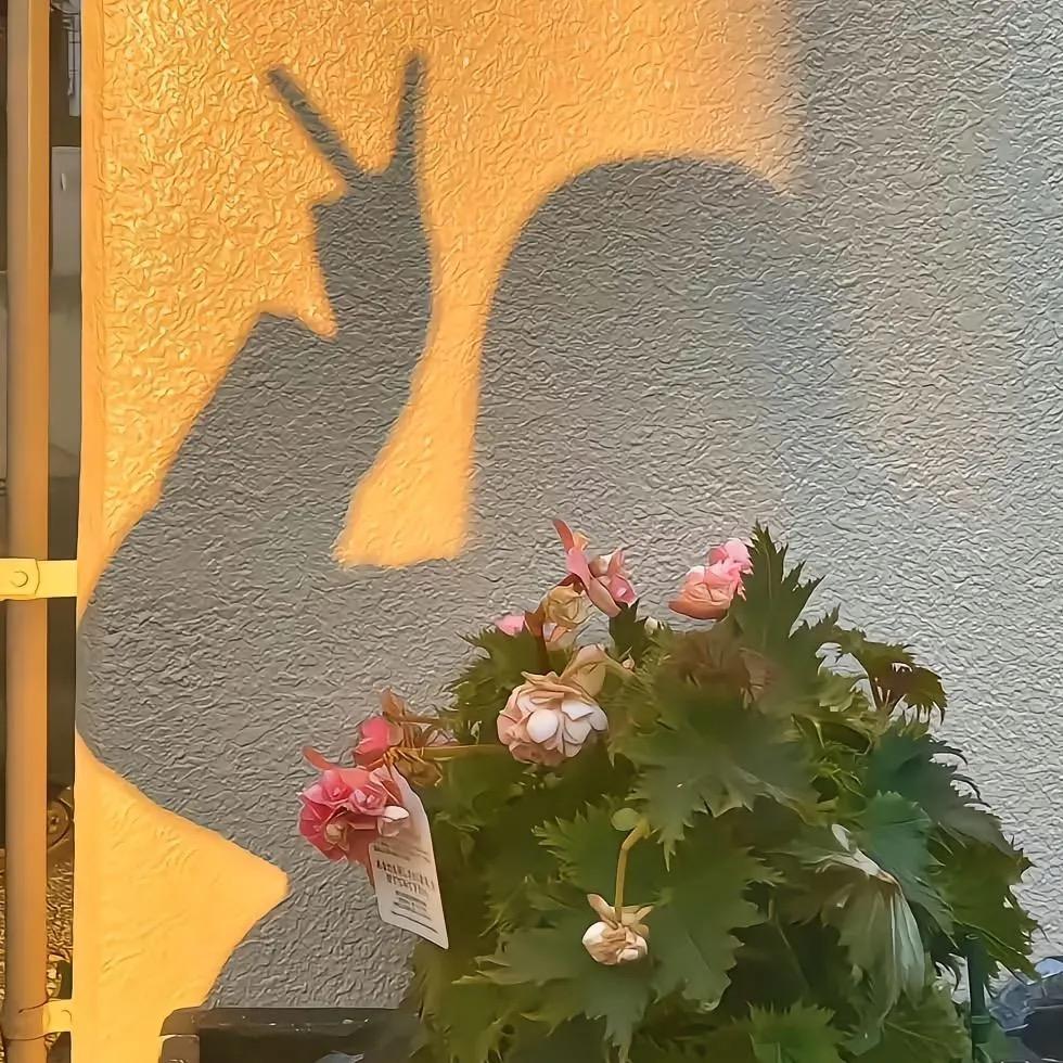 温酒ᰔᩚ