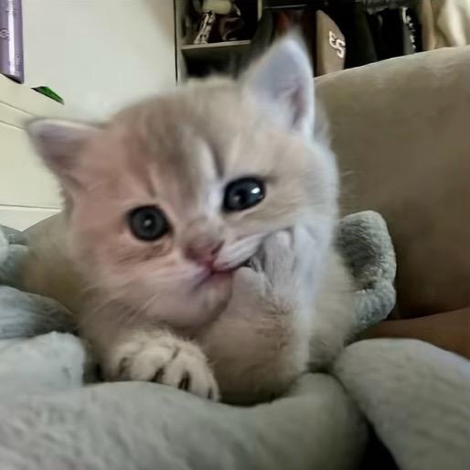 Llllllllllll.