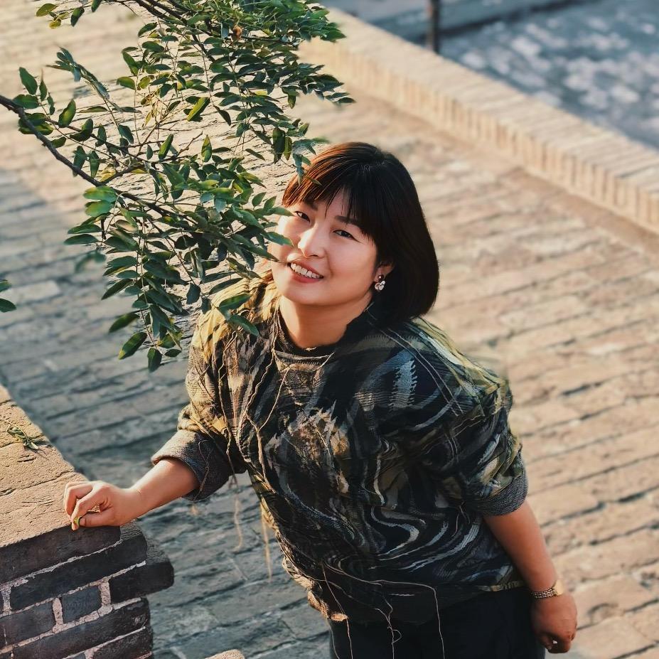 临汾元征车灯田洁