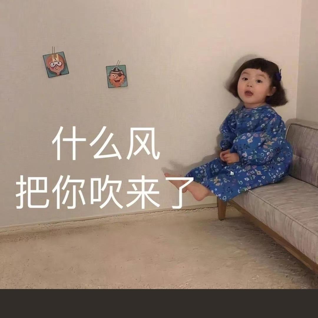 王哈哈