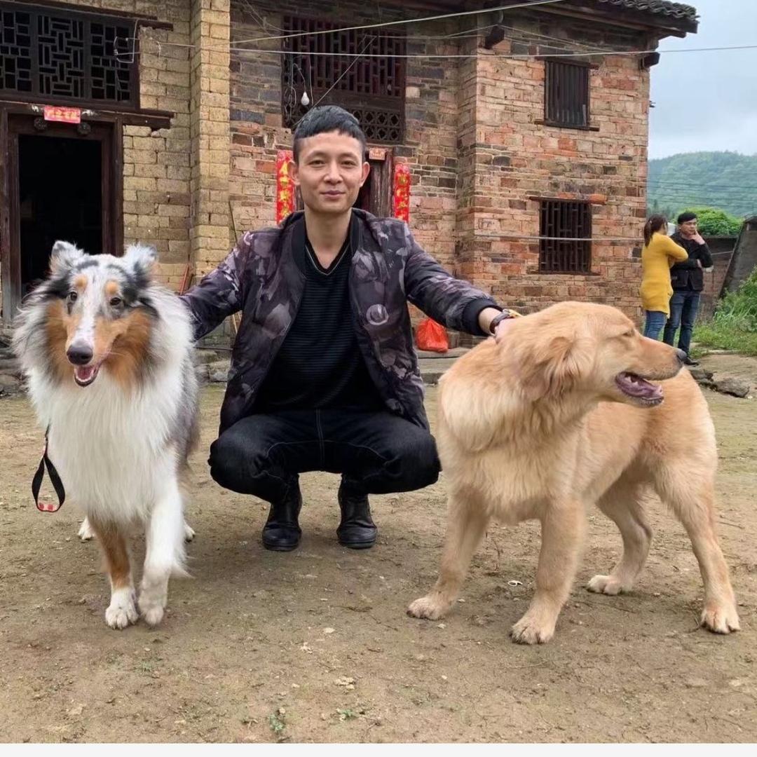 顽事卟躬