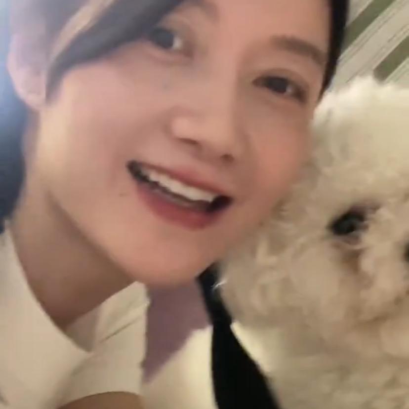 安静的西瓜