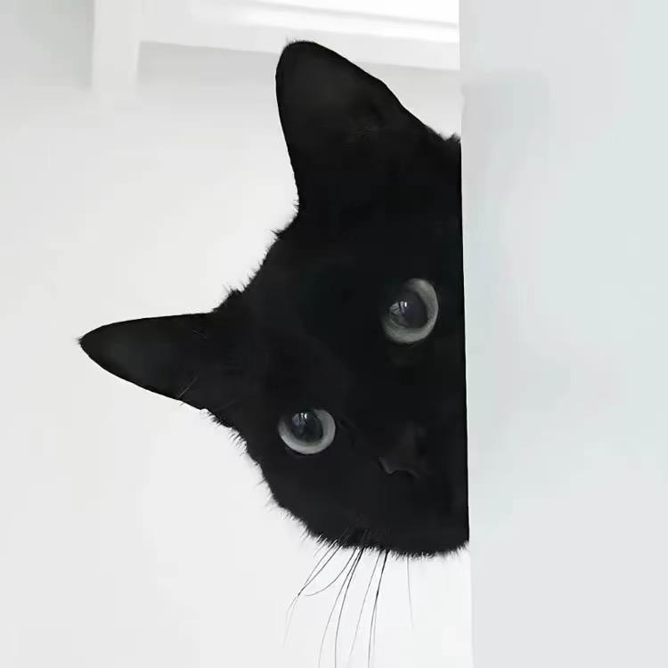 小黑猫的衣柜🏂