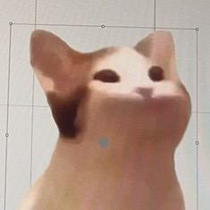 popo