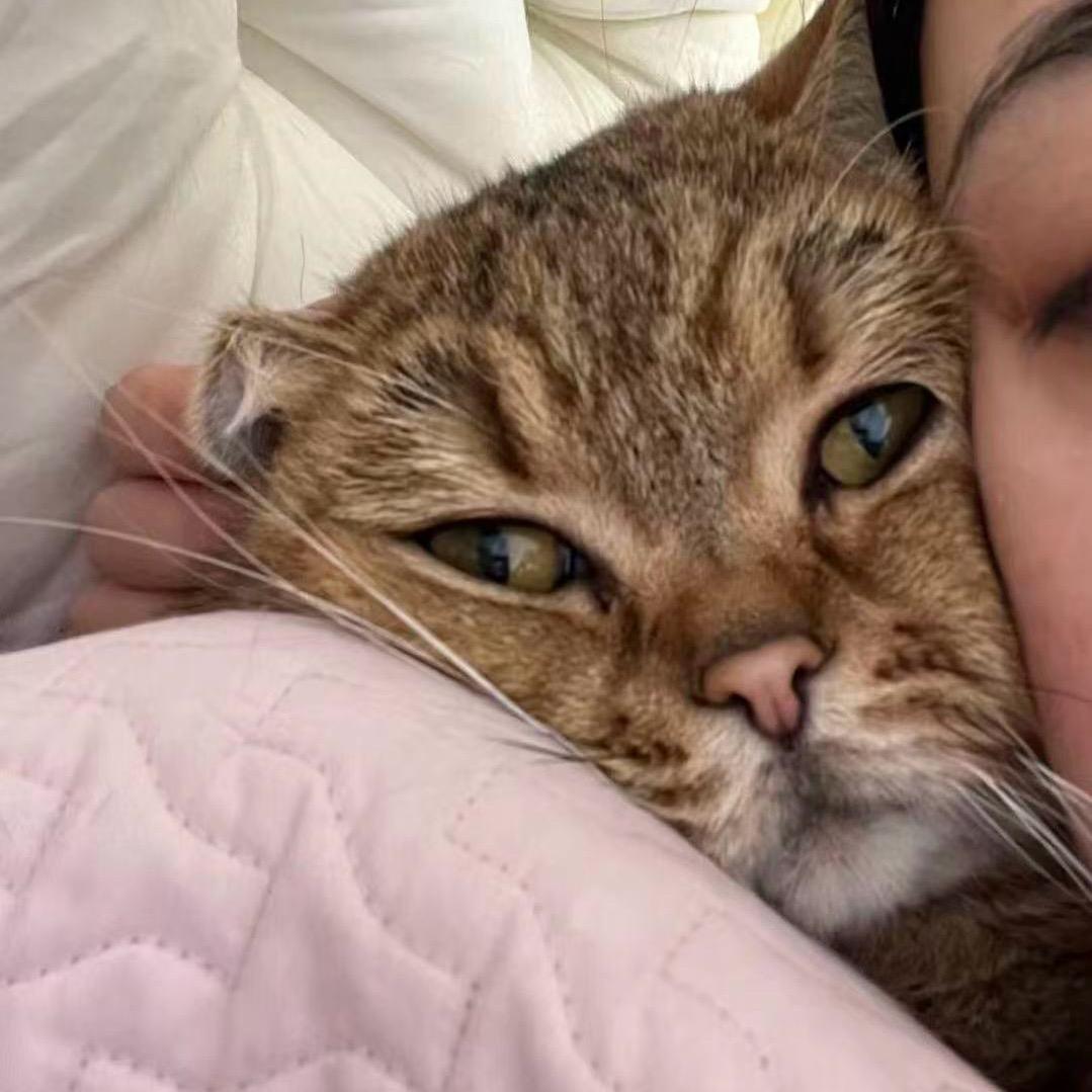 爱喝粥的韭菜（霸道无敌版）