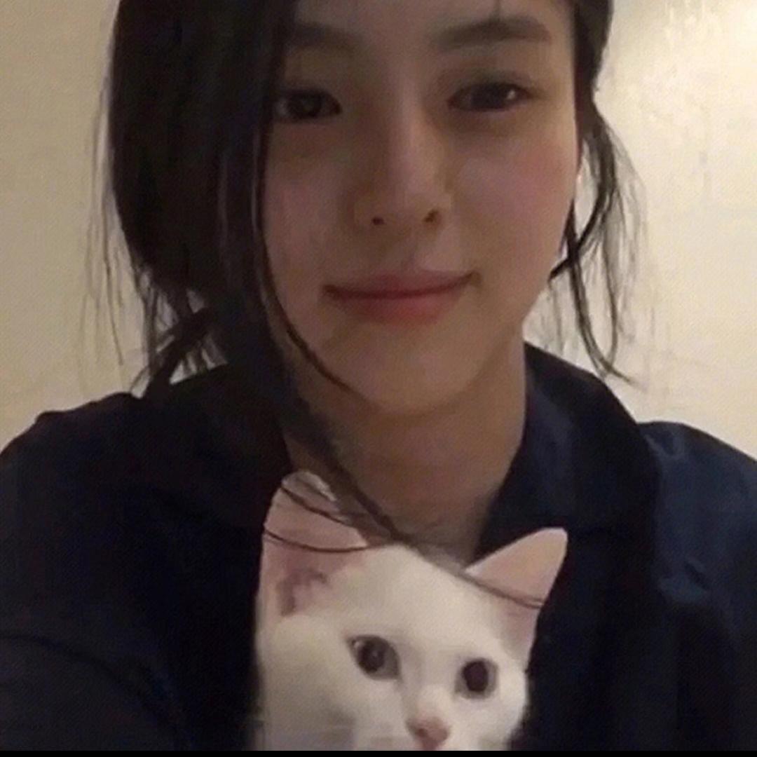 流泪锅咪