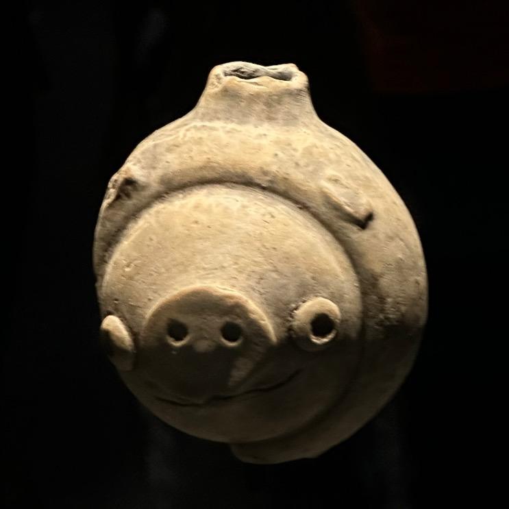 猪头🐷