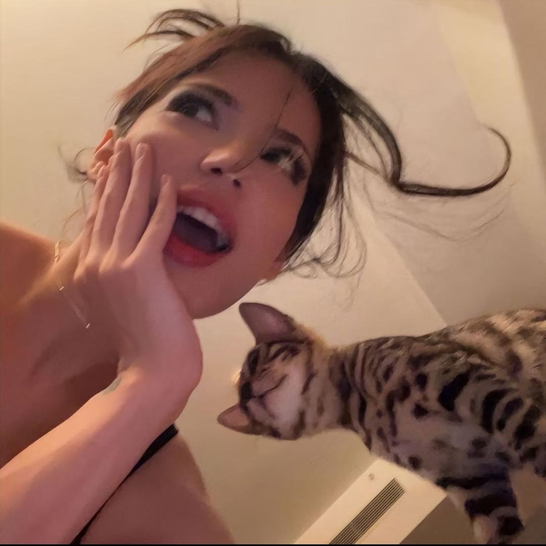 程顺心