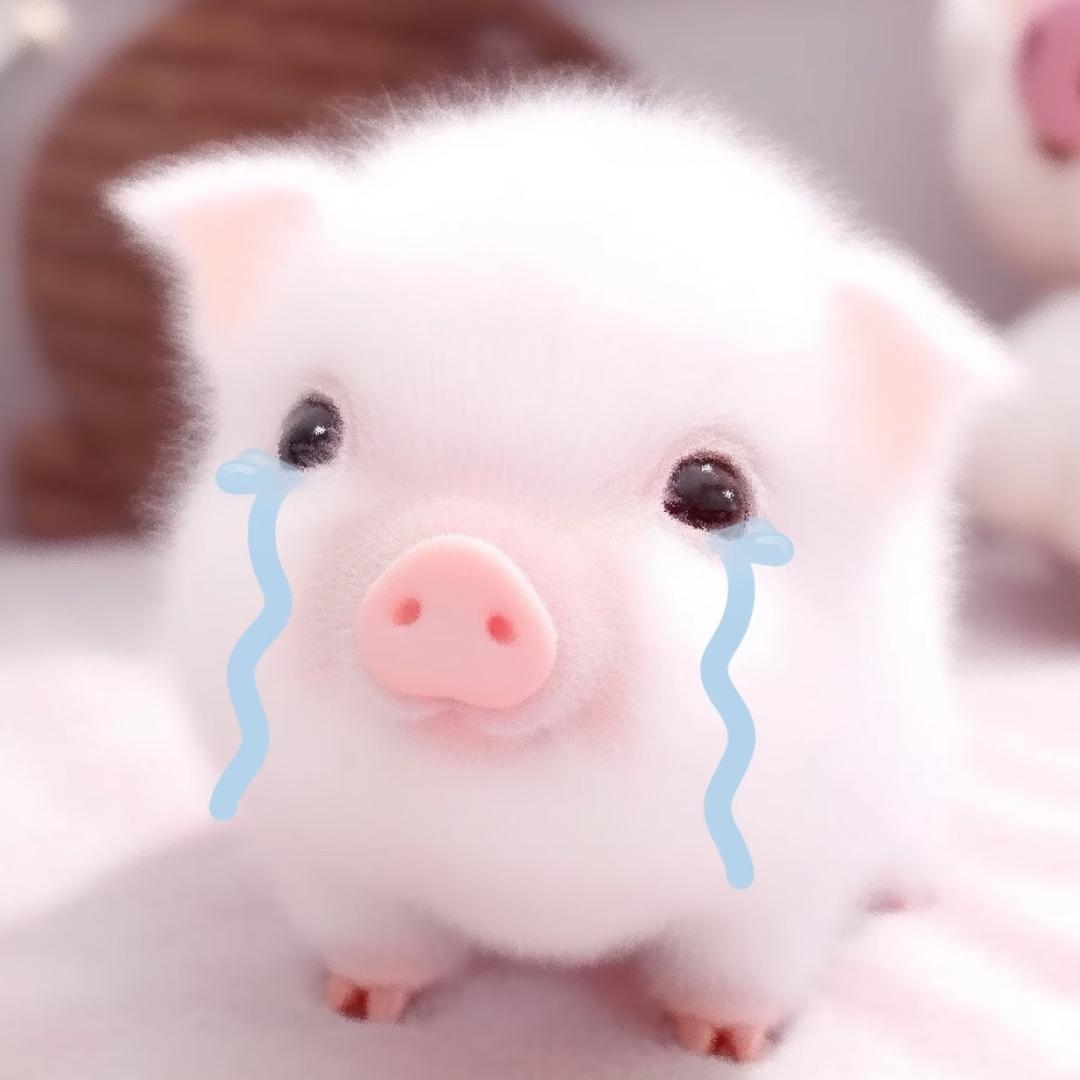 每一帧
